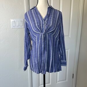 A Pea in the Pod Blue Striped Button Down Shirt